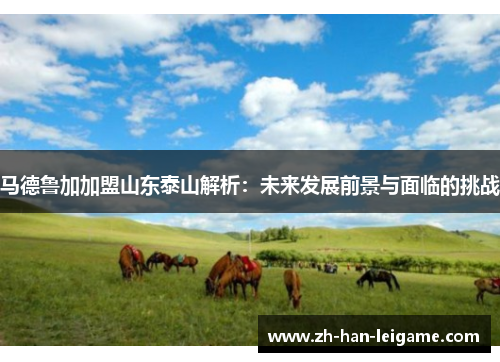 马德鲁加加盟山东泰山解析：未来发展前景与面临的挑战